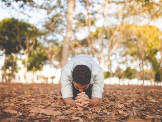 Homme à genoux dans un parc, les mains jointes sur le sol recouvert de feuilles mortes. Image floue en arrière-plan, montrant des arbres avec feuilles jaunies et quelques conifères.
