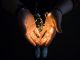 Guirlande lumineuse dans les mains d’une personne à l’avant-plan. Arrière-plan dans le noir.