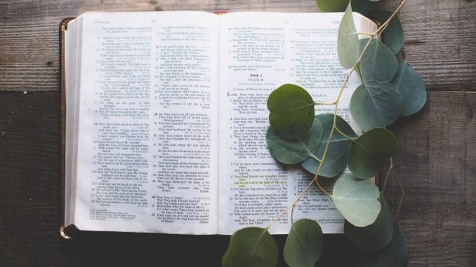 Bible ouverte sur une surface en bois avec quelques feuilles vertes sur le côté droit.