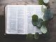 Bible ouverte sur une surface en bois avec quelques feuilles vertes sur le côté droit.