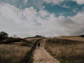 Personne marchant sur une route entre des champs d’herbes.