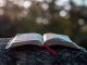 Bible ouverte sur de la pierre grise pendant la journée.