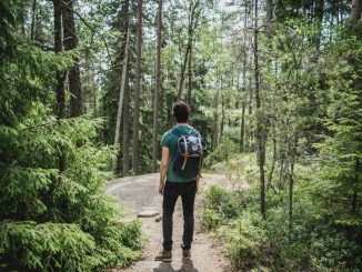 Homme portant un sac à dos bleu marchant dans la forêt.