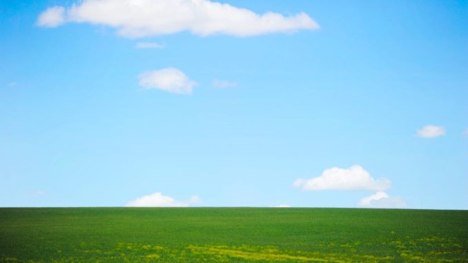Photographie de paysage de champ vert et de ciel bleu.