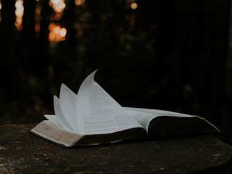 Bible ouverte sur une surface en bois à l’extérieur.