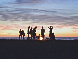 Groupe de personnes installant un feu de camp sur une plage.