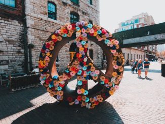 Décor floral multicolore de paix en plein air pendant la journée.