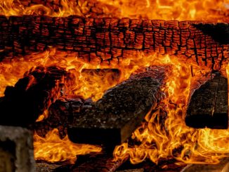 Feu en gros plan.