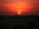 Sunset in the final phase (last call) in the countryside, greenery in the half-light in the foreground and reddish sky with clouds in the background.