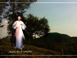 Image of Divine Mercy (my Son) in front of trees on a mountain; in the background, blue sky with clouds and greener mountain.