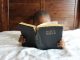 Young black boy reading an old Bible in his bed. The green cover is a little damaged and the upper part of the back is torn. You can just see the right eyebrow above the cover and the tips of both hands holding the Bible. White sheets and dark brown bed back.