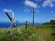 Brown wooden cross near a path (path to salvation), on green grass field along the sea, under blue sky during day time.