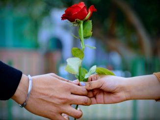 Man and woman holding a red rose flower in the foreground. Blurred image behind.