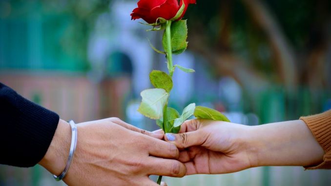 Man and woman holding a red rose flower in the foreground. Blurred image behind.
