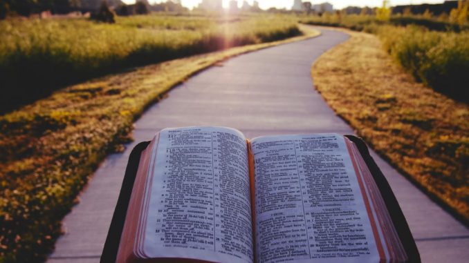 Opened Bible on a brown field path during daytime.