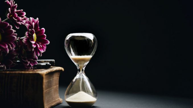 Clear hour glass beside pink flowers.