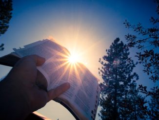 Person holding an open bible illuminated by a ray of sunlight.